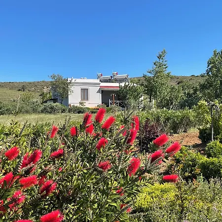 Aya Yorgi Evleri * Bozcaada