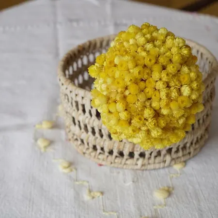 Aya Yorgi Evleri Hotel