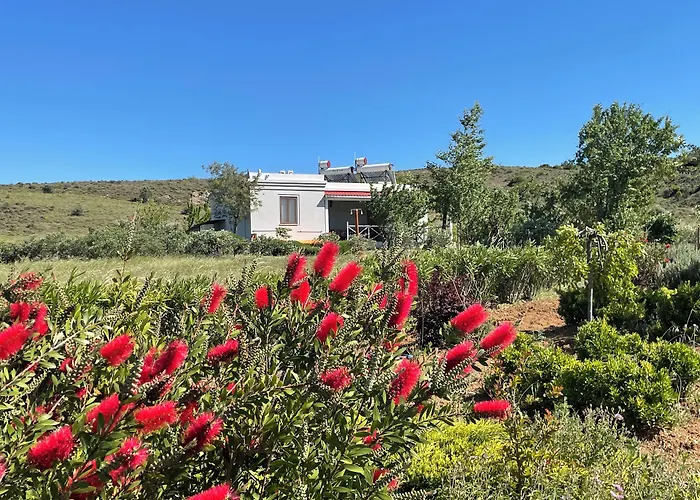 Aya Yorgi Evleri * 보즈자아다