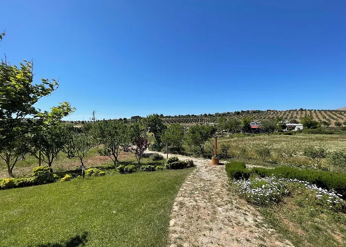 호텔 Aya Yorgi Evleri