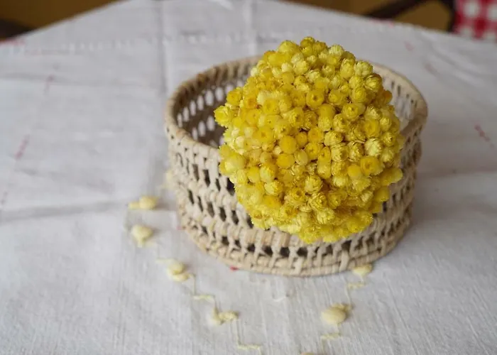 Aya Yorgi Evleri 호텔